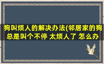 狗叫烦人的解决办法(邻居家的狗总是叫个不停 太烦人了 怎么办啊)